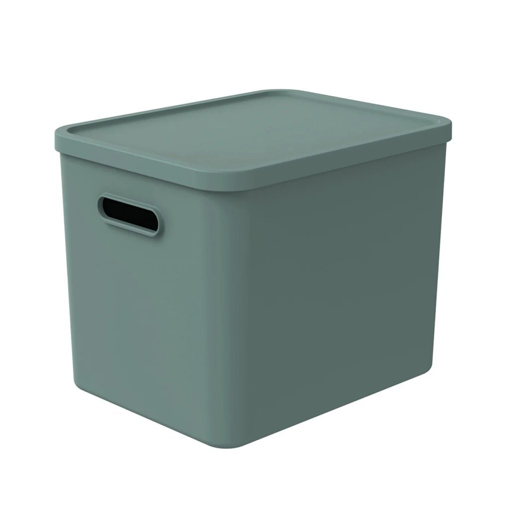 Rotho Albula Multibox 29.5x29x37 cm 27l Mistletoe Green