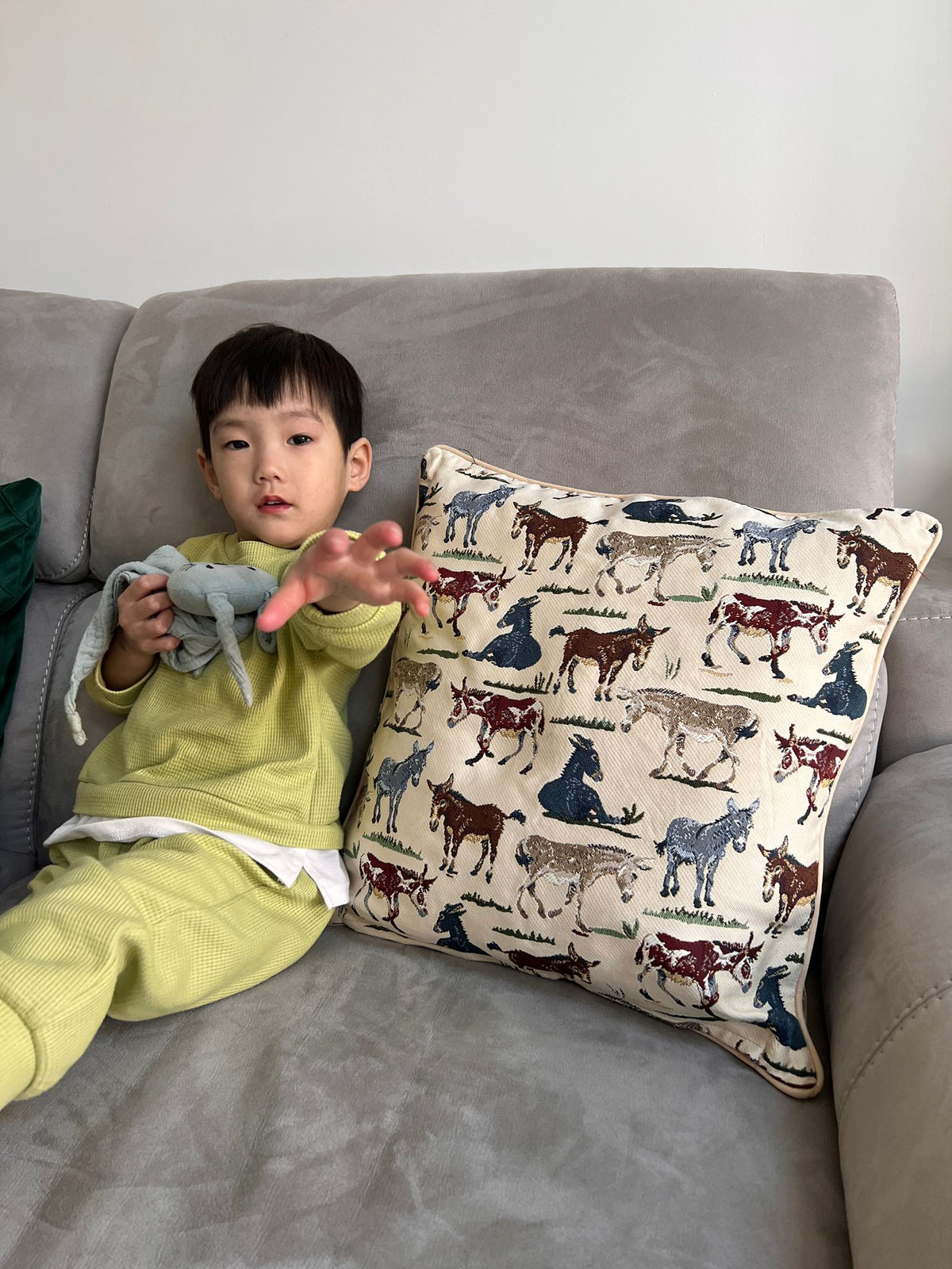 Happy Donkey - Cushion Cover 45cm*45cm