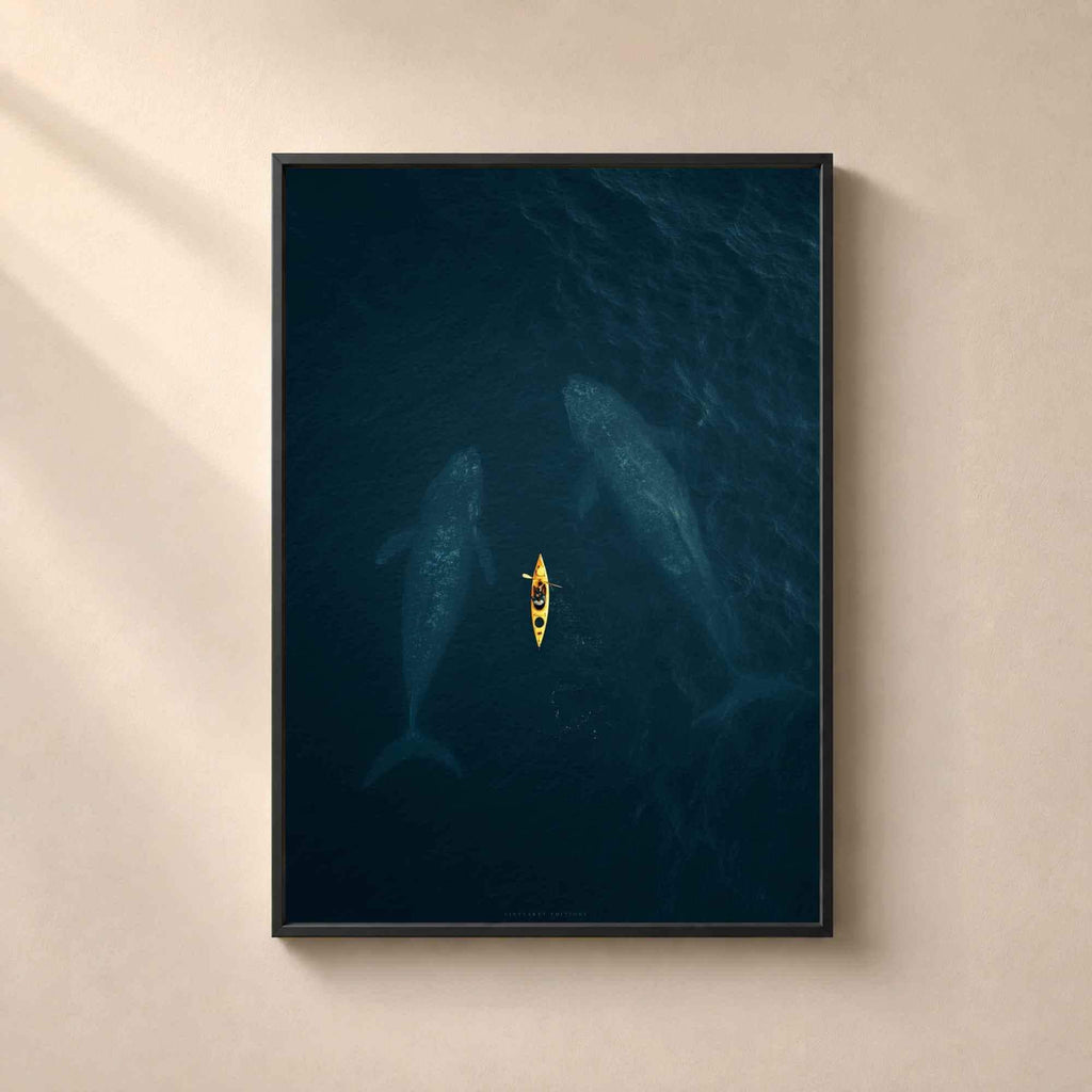 Affiche baleines et kayak, art mural photo aérienne océan, décoration bleu profond